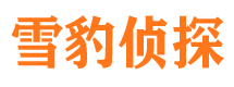 益阳市私家侦探